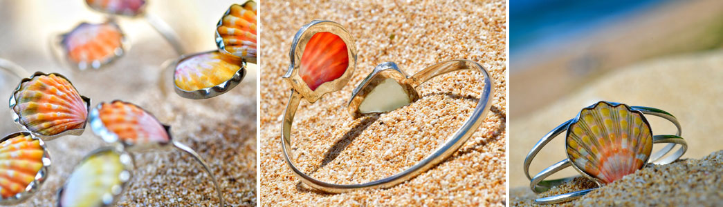 Sunrise Shells Hawaii